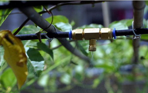 12-8-2016-1-43-44-pm